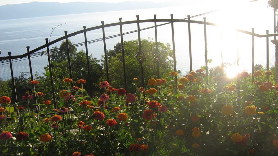 Double Room with Lake View,228658985:JPEG