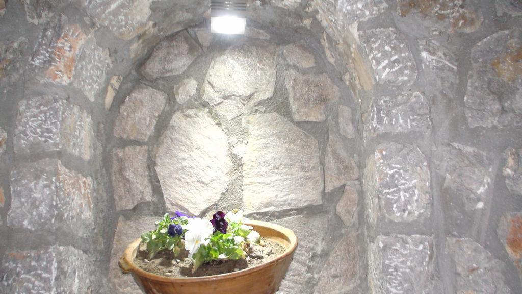 Studio with Garden View,195158761:JPEG