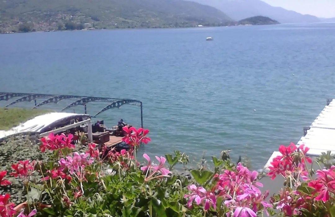 Orhidea House-1