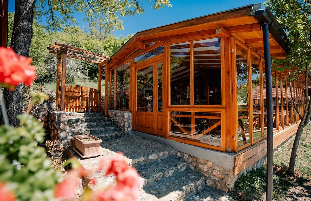 Paradise Nest-1