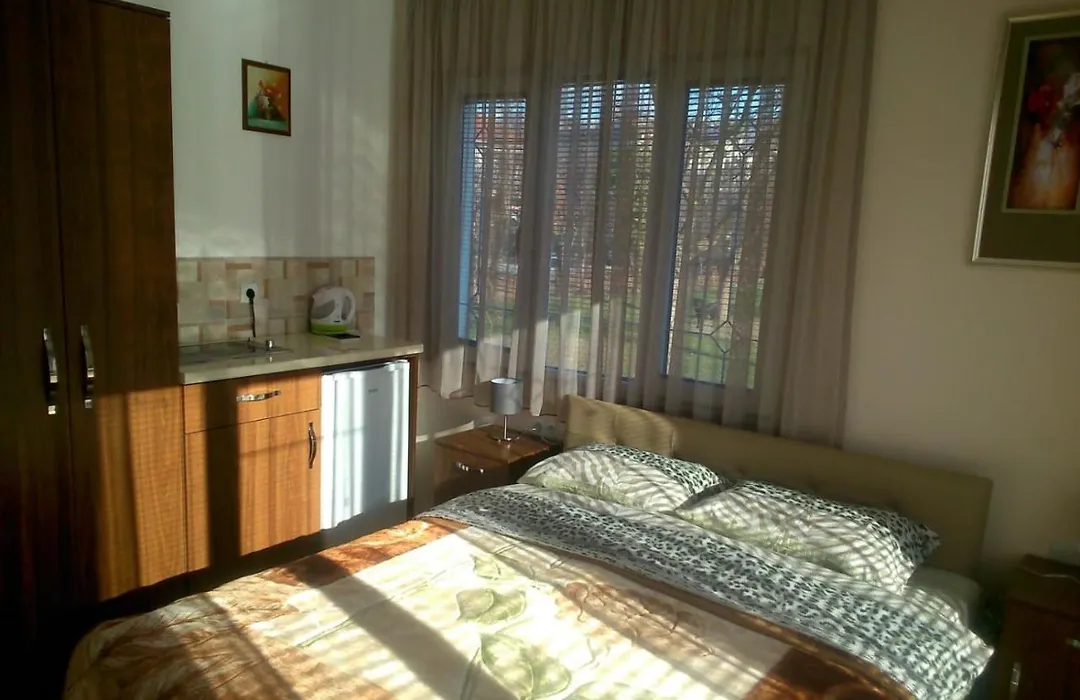 Villa Efes Ohrid-1