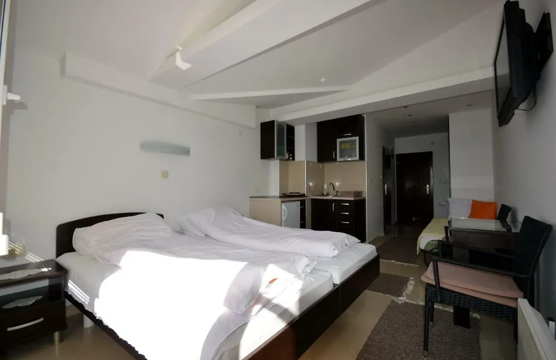Topencarov Guest House-1