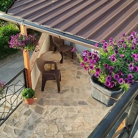 Guest House Stevovski-2