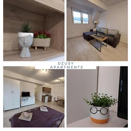Dzusy Apartments-2
