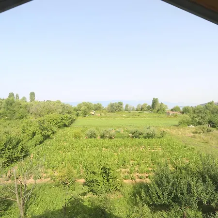 Villa Goriza Prestige-2