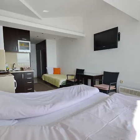 Topencarov Guest House-3