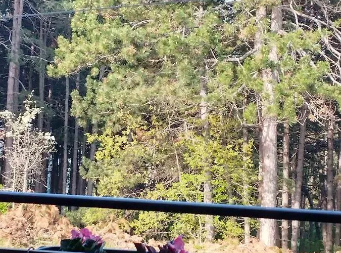 Pine Dream Villa Ohrid