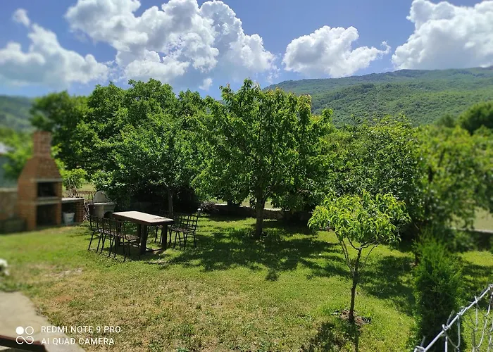 Privé Aleks Villa Ohrid